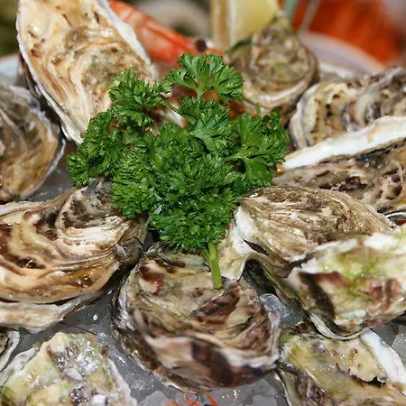 Kyriad Prestige - Bordeaux Aeroport Merignac (Gironde)